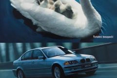 239390566_394890362032209_3617689970312423506_n